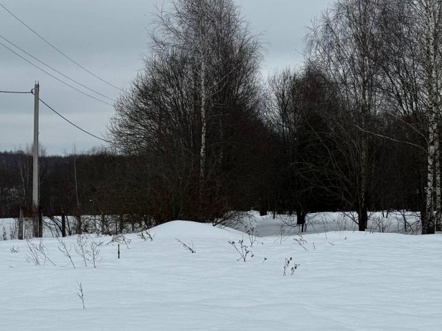 Лот 4018704